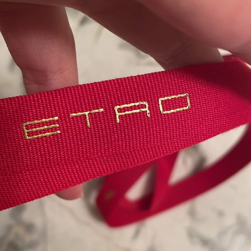 Etro Ribbon 🎀 9&” - Picture 3 of 7